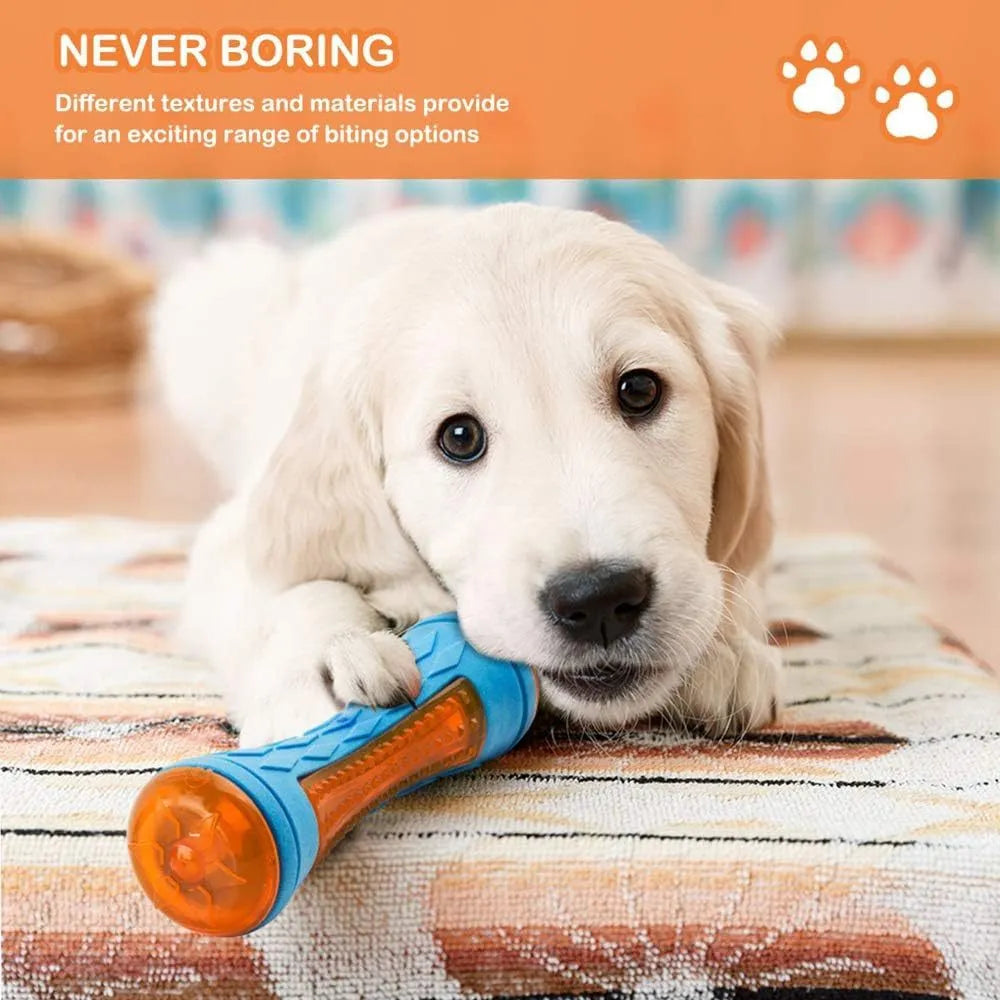 Set of four colourful floating dog toys: a ball, a barbell, and two tyres, on a blue background.