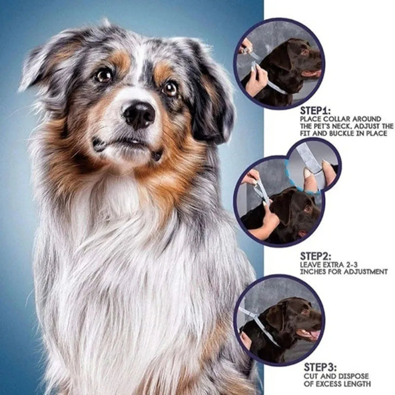 Rainbow packaged plastic flea and lice preventing collar for cats and dogs, showing 38cm and 62cm sizes.