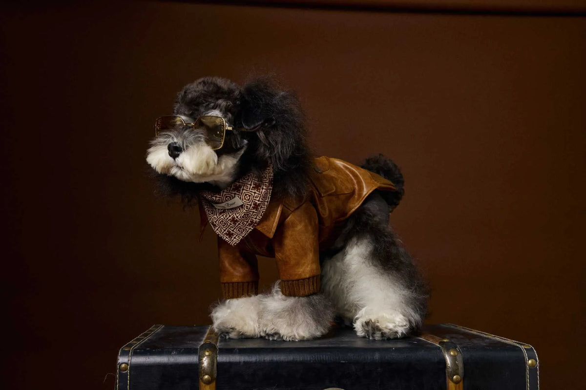 Brown PU pet leather coat with long sleeves and two-feet design for Schnauzers and Bichons, sizes XS to XXL