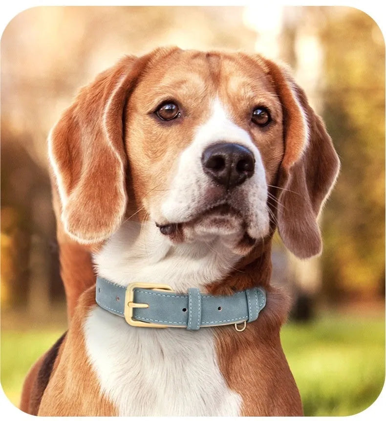 A rose red double-layer leather dog collar with mohair backing, shown with its matching traction rope.