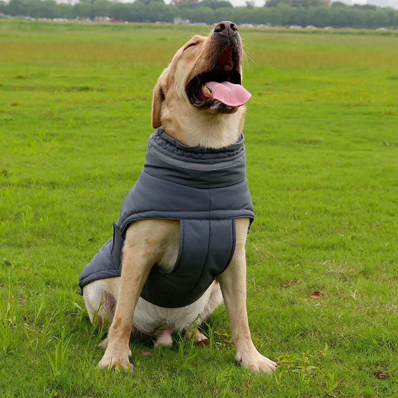 Dog trench coat cold-proof rain-proof in Gray Pink Red, sizes S XL, with bust and back length measurements