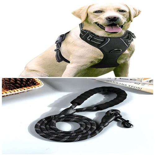 Adjustable nylon dog harness vest in blue, side view showing chest strap and buckle