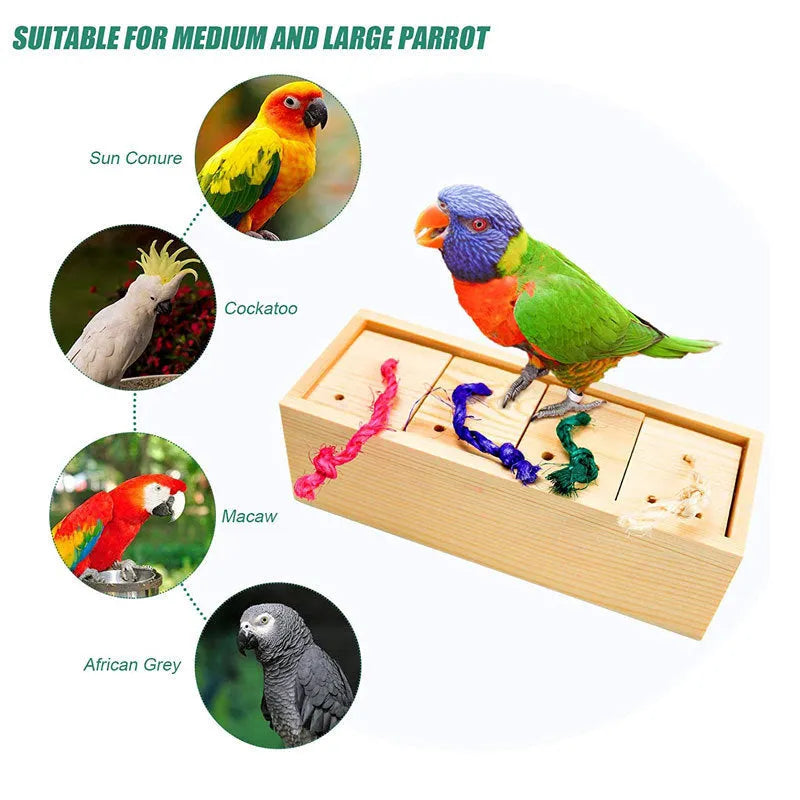 Wooden bird puzzle training set with multiple pieces for parrot enrichment and mental stimulation