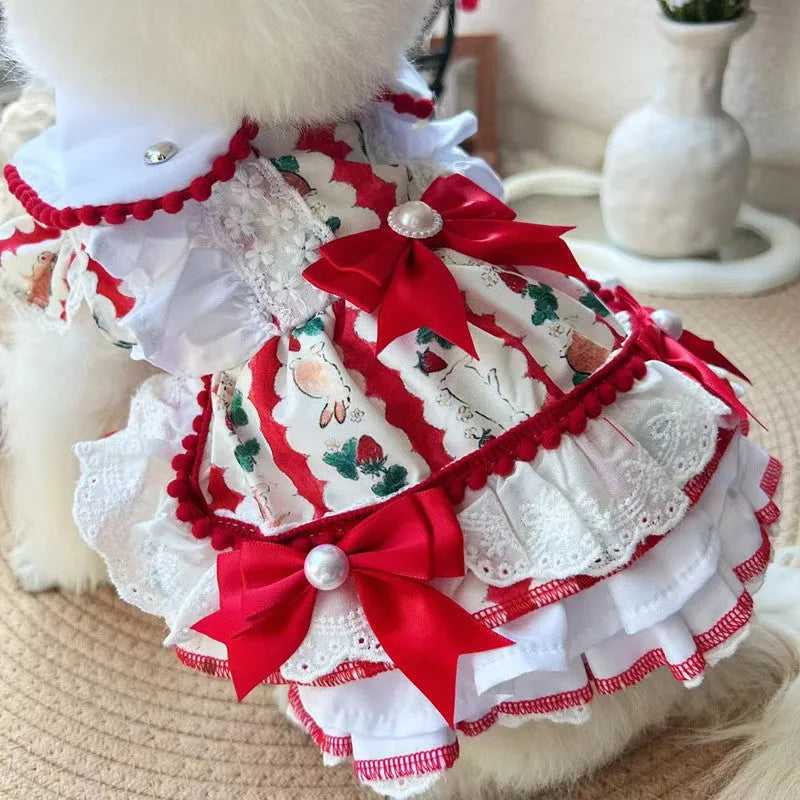 Small white dog wearing a white rabbit skirt princess style outfit with layered frills.