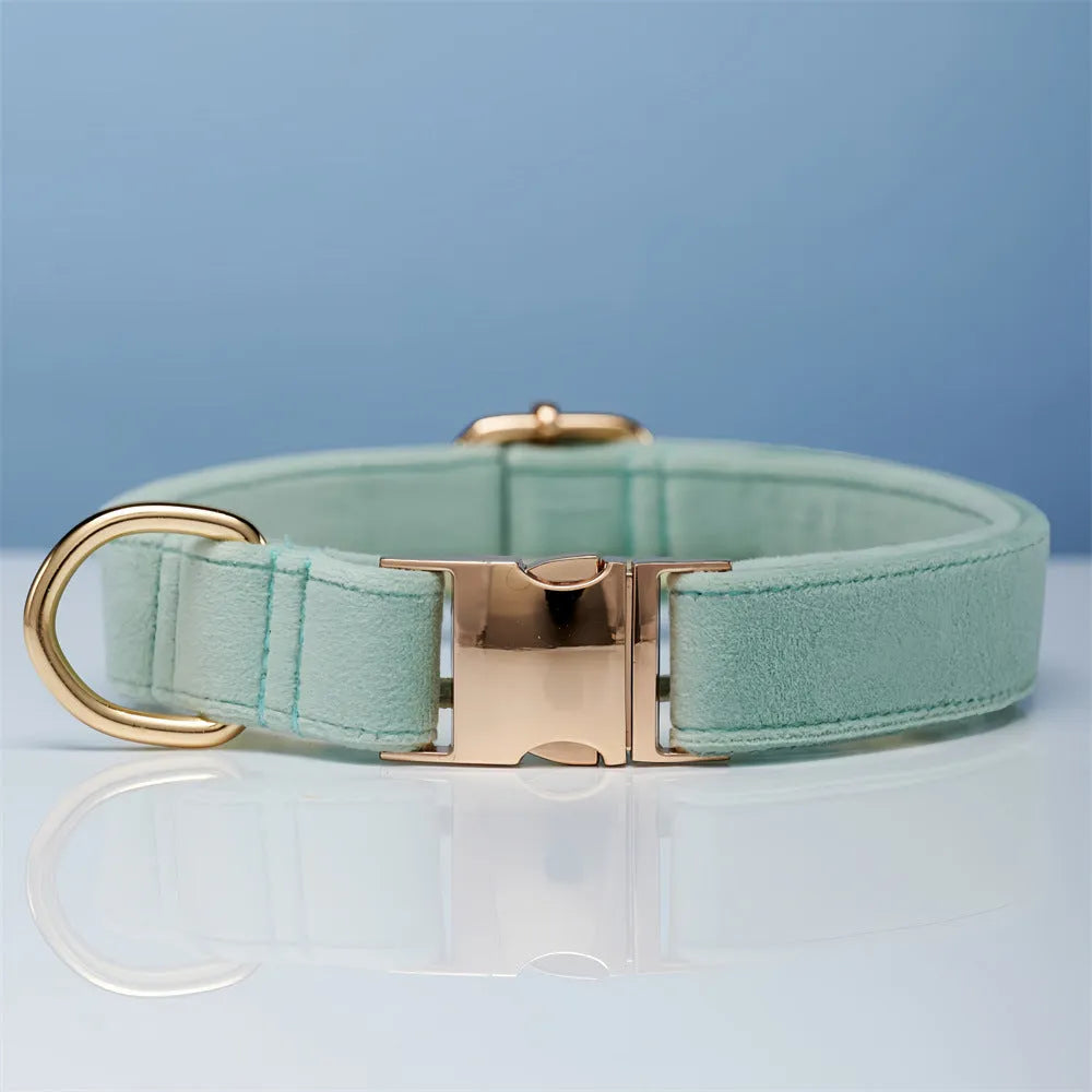 Striped wool dog collar in coral orange with attached leash on a neutral background