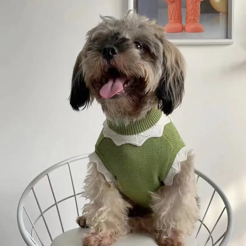 Green floral pet sweater for a small dog, showing the stretch knit material and blossom pattern.