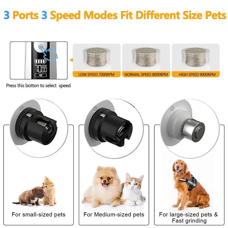 White electric dog nail grinder with LED light on handle and grinding head, showing dust collection port.