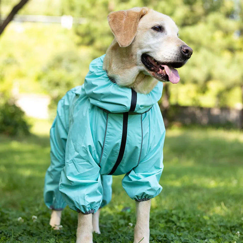 Red polyester padded dog jacket with zip front on a medium-sized dog.