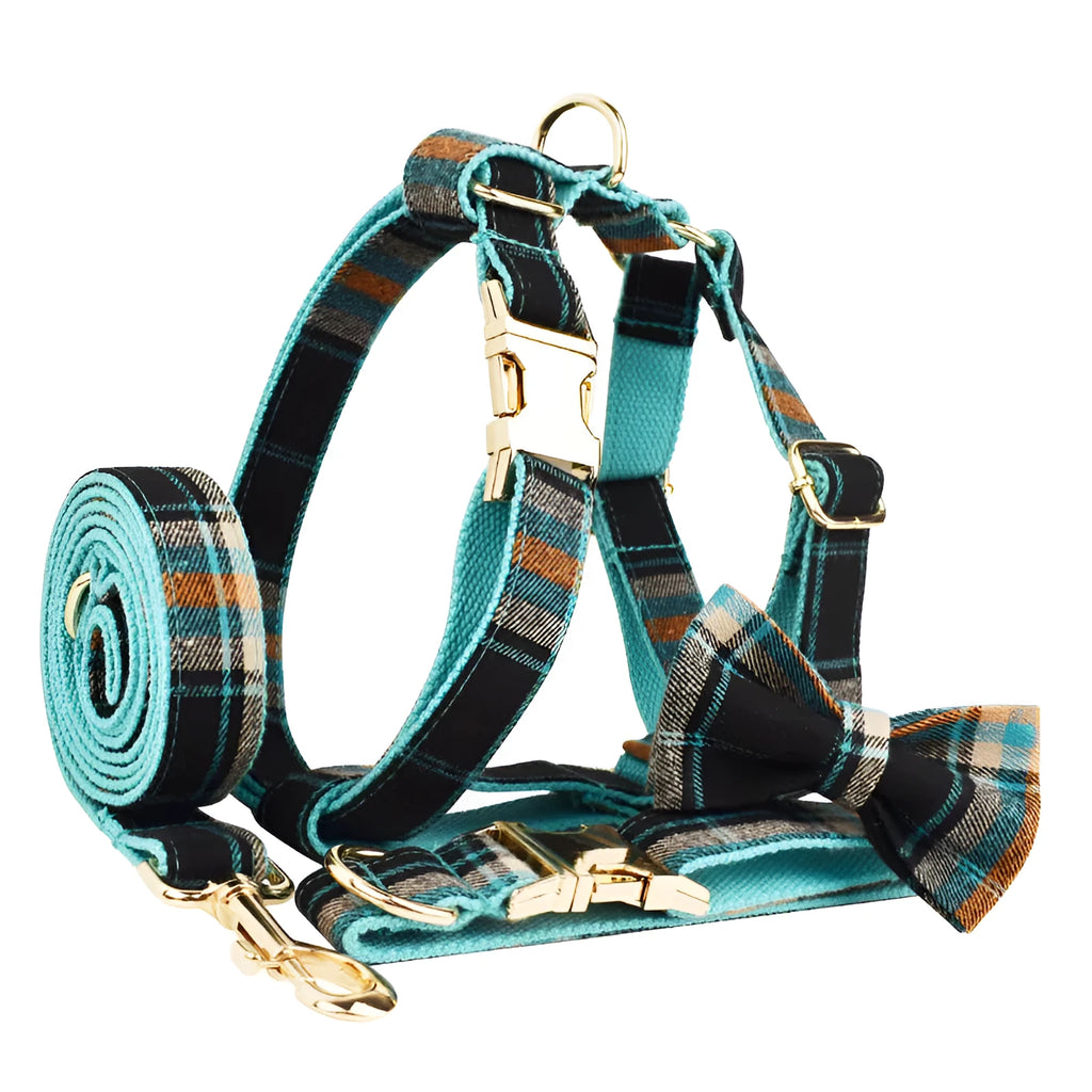 Green retro dog collar set with matching leash, bow, and vest on white background