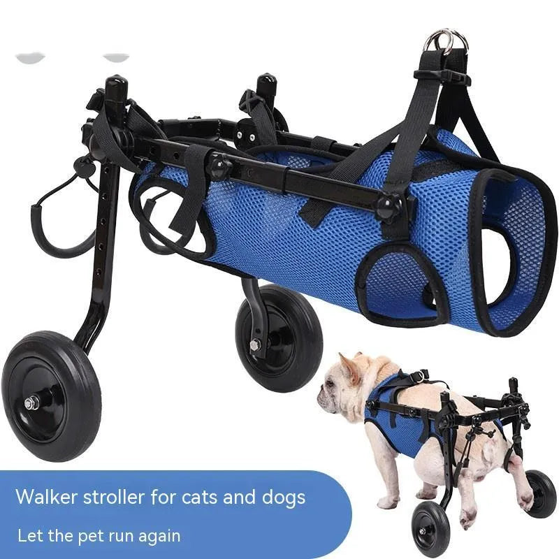 Blue pet dog wheelchair scooter with aluminium alloy frame on grass