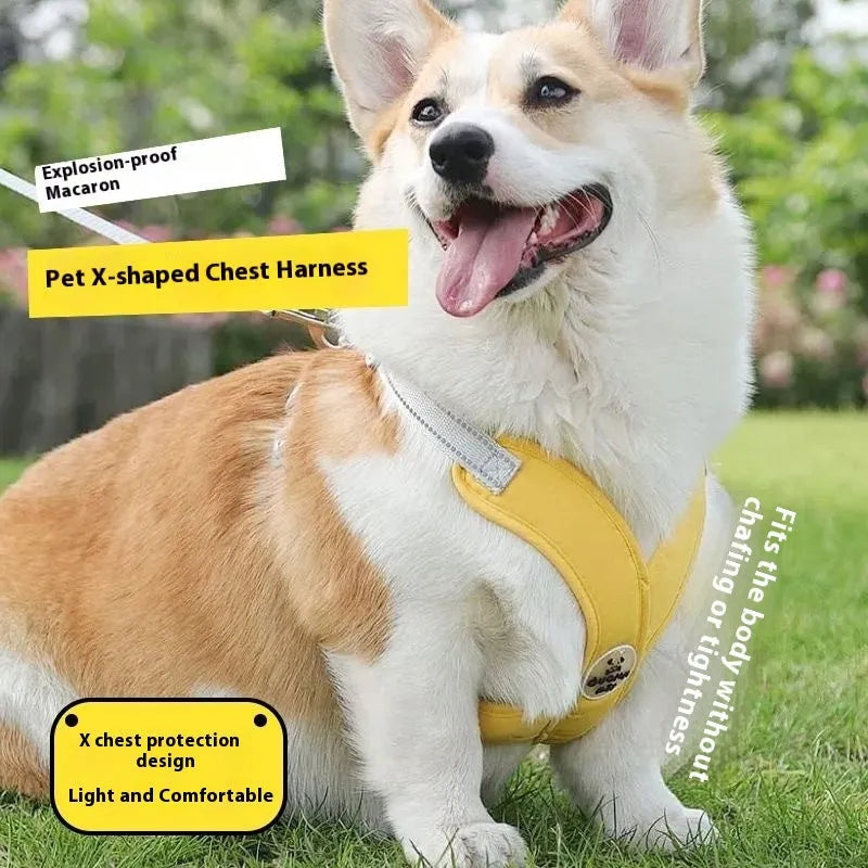 Blue polyester dog harness vest with an attached hand-holding rope lead.
