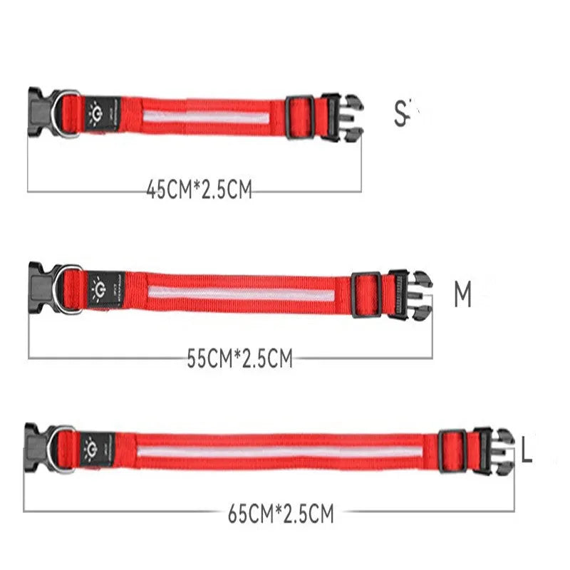 LED pet collar waterproof IPX7 USB rechargeable with red dual fibre light on a dog