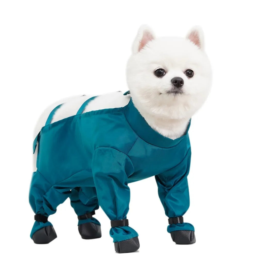 Peacock blue pet diaper bag belly jumpsuit made from waterproof memory cloth with foot-wrapped design on a small dog