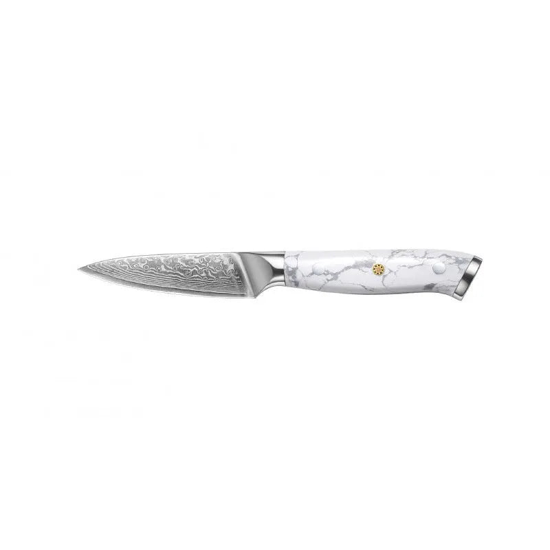 Damascus pattern VG10 steel chef knife with 21cm blade and modern handle