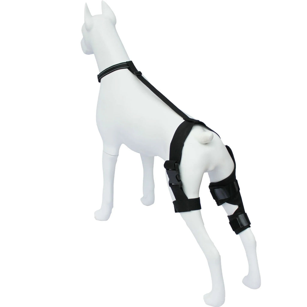 Adjustable neoprene dog knee brace strap for hind leg support, shown in sky blue colour.