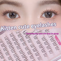 12-row segmented false eyelashes with kitten's paw lower lashes, natural sheer root, 4mm 5mm 6mm lengths.