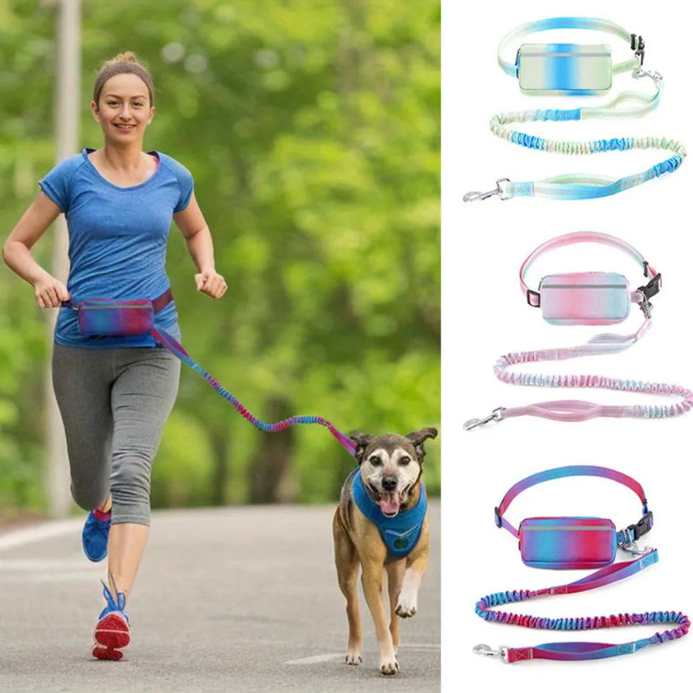 Blue hands-free dog leash with waist belt and adjustable 120-183cm reflective traction rope