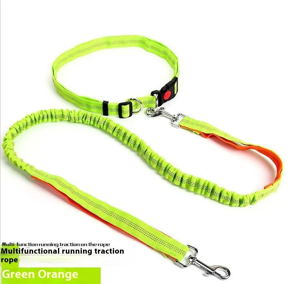 Reflective elastic dog leash with 2.5cm nylon sling in blue and red two-tone colour combination
