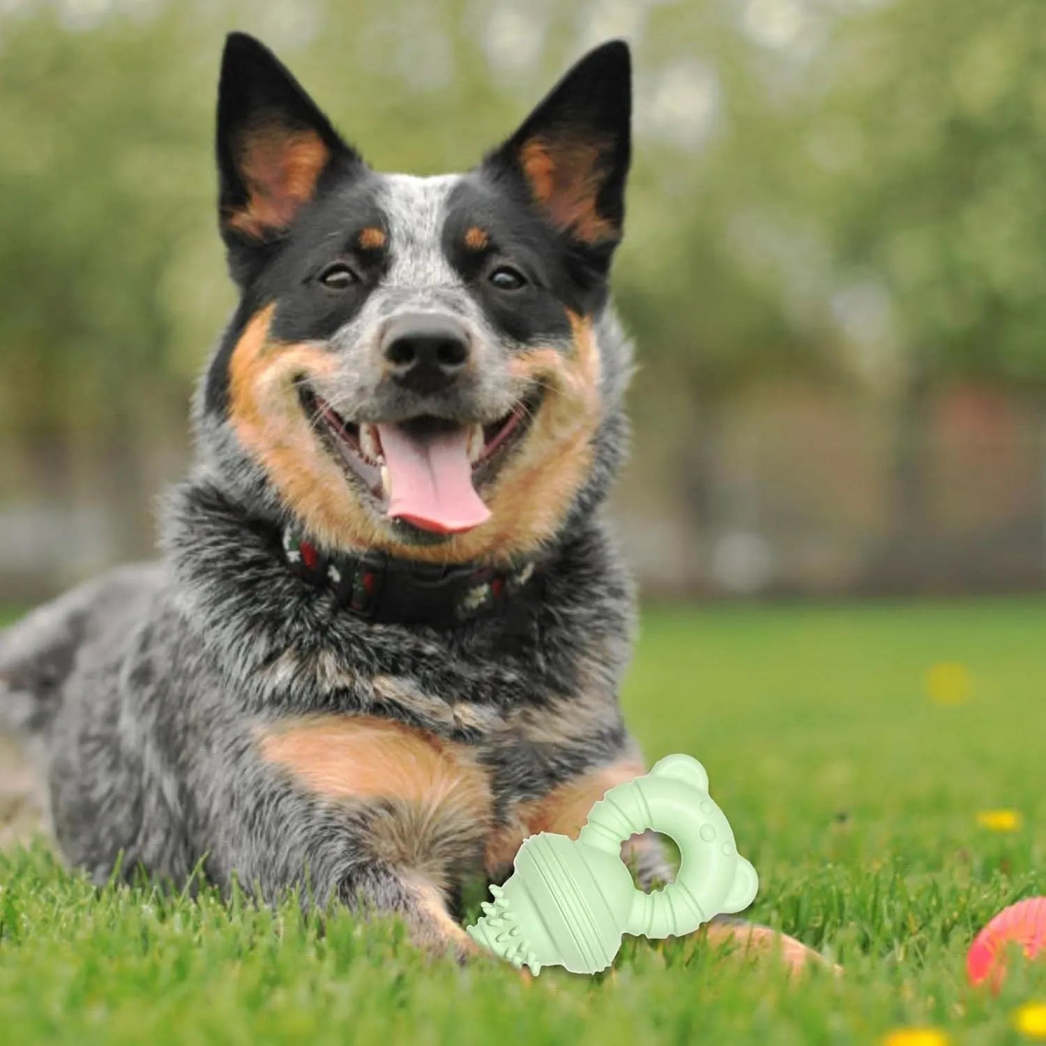 Blue rubber dog chew toy with textured surface and bell inside, for aggressive chewers.