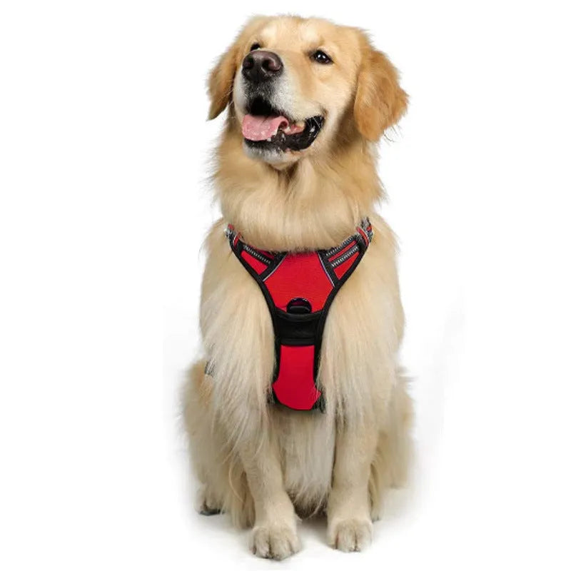 Adjustable nylon dog harness vest in blue, side view showing chest strap and buckle