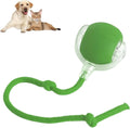 Interactive automatic rolling ball pet toy with rope tail in grey, green, and red colour options