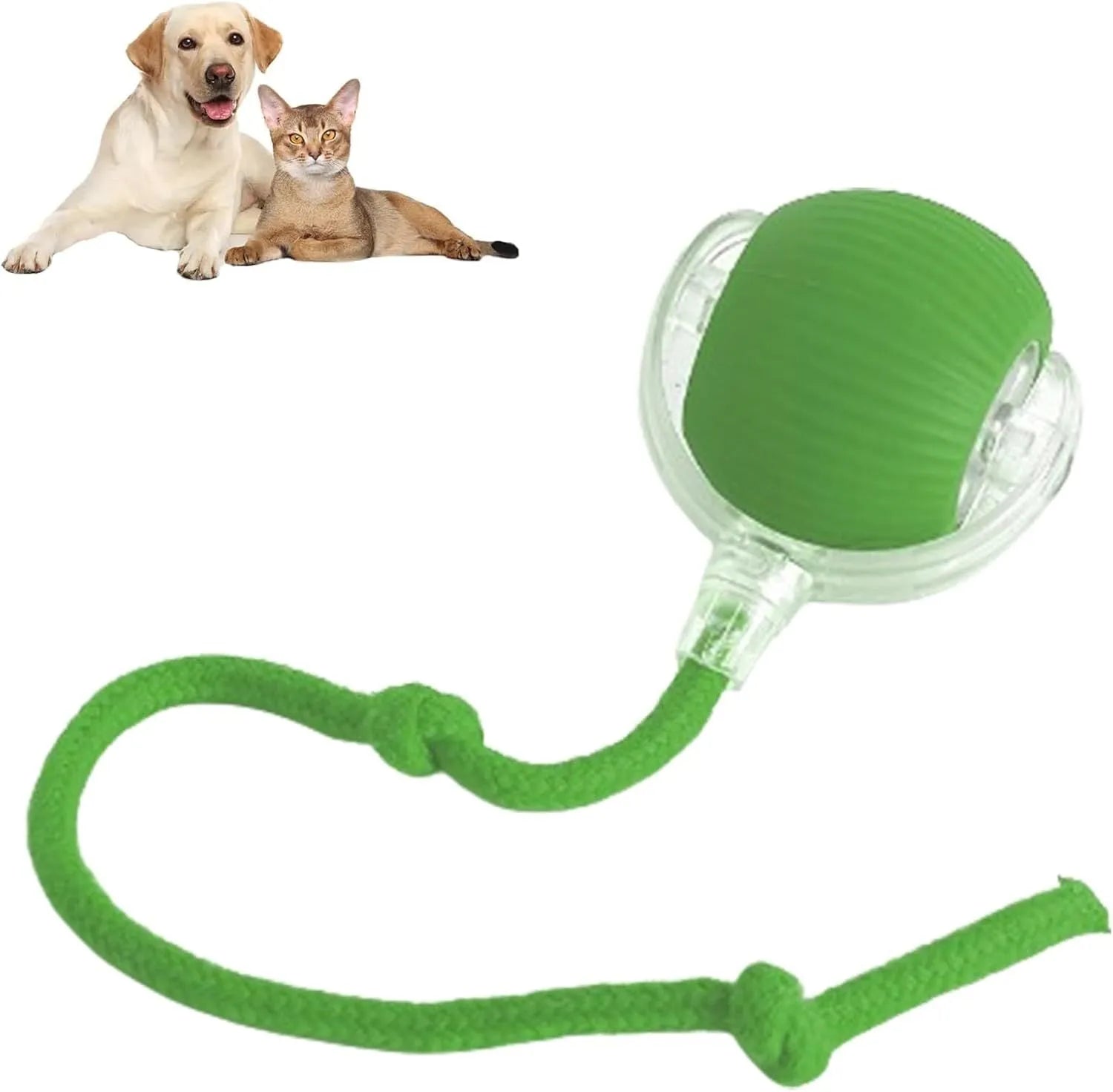 Interactive automatic rolling ball pet toy with rope tail in grey, green, and red colour options