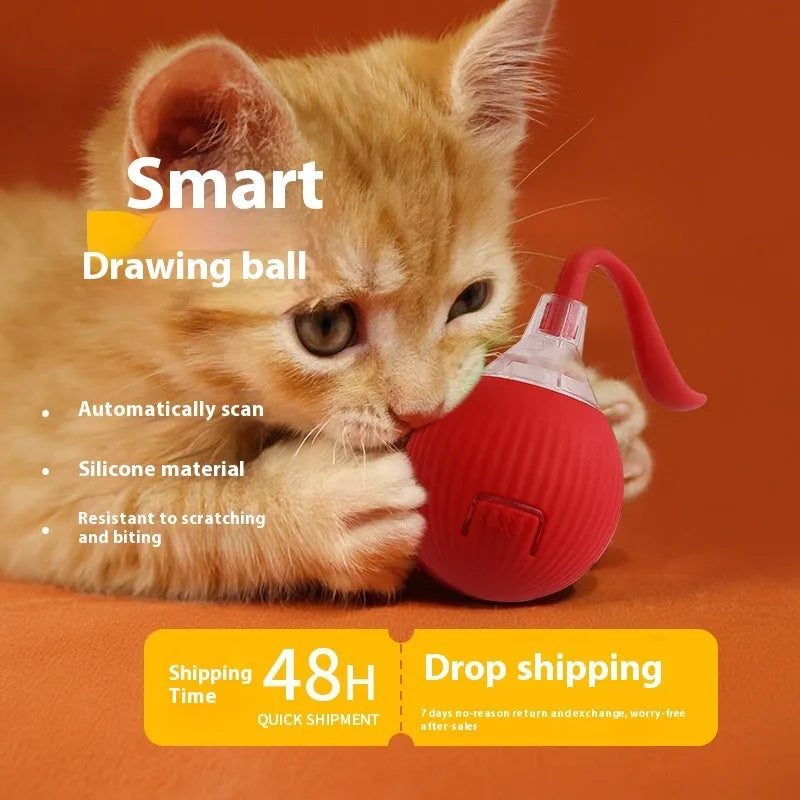 Interactive electronic cat toy ball with automatic motion sensor in various colour and style options