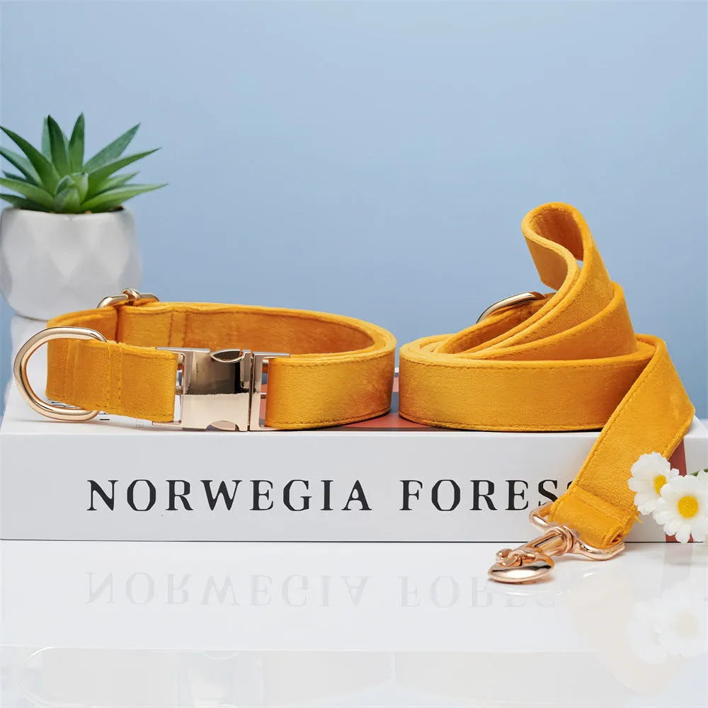 Striped wool dog collar in coral orange with attached leash on a neutral background