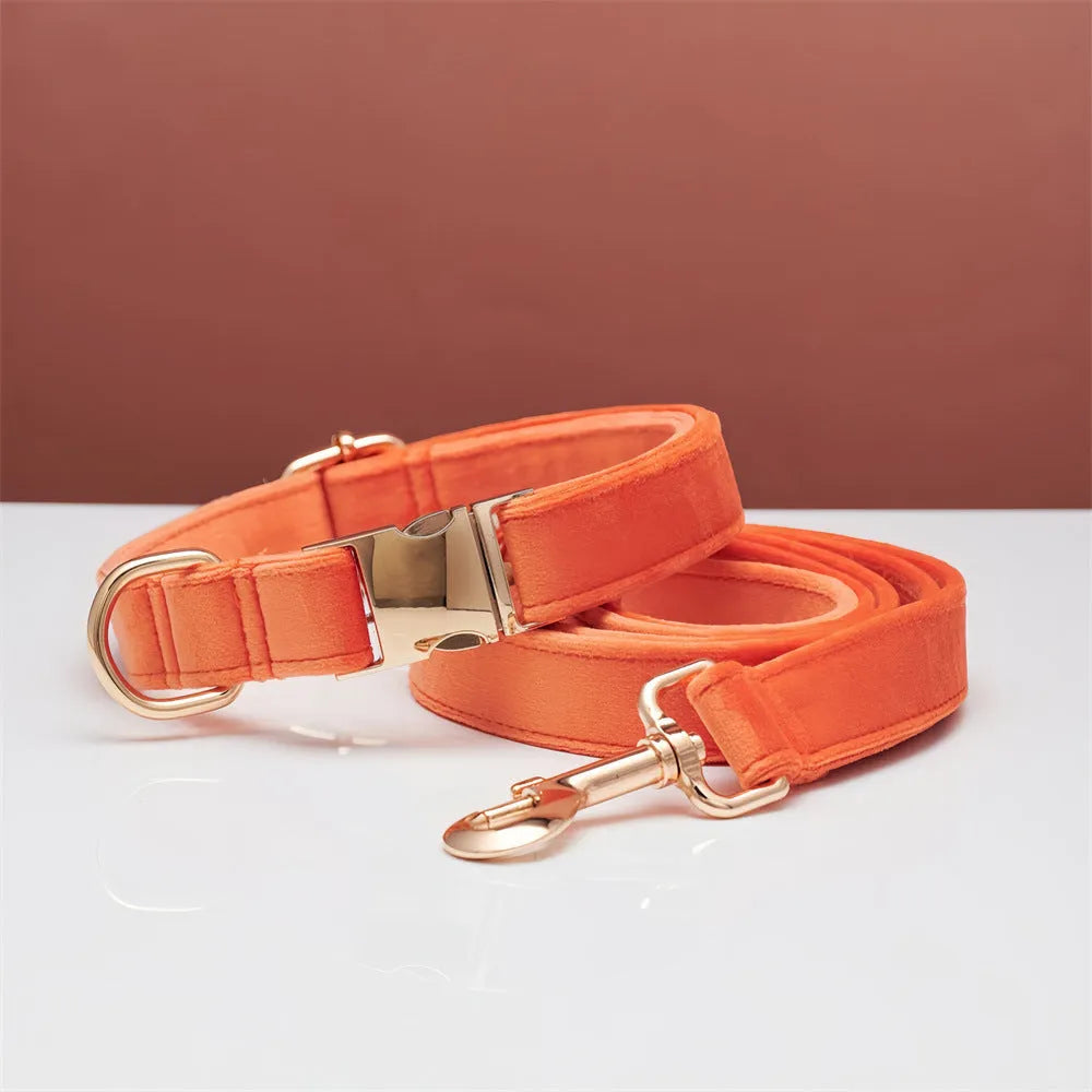 Striped wool dog collar in coral orange with attached leash on a neutral background