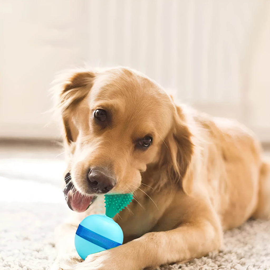 Blue pet leakage food ball toy on floor with kibble pieces nearby, measuring 8.8x8.5x16.5 cm