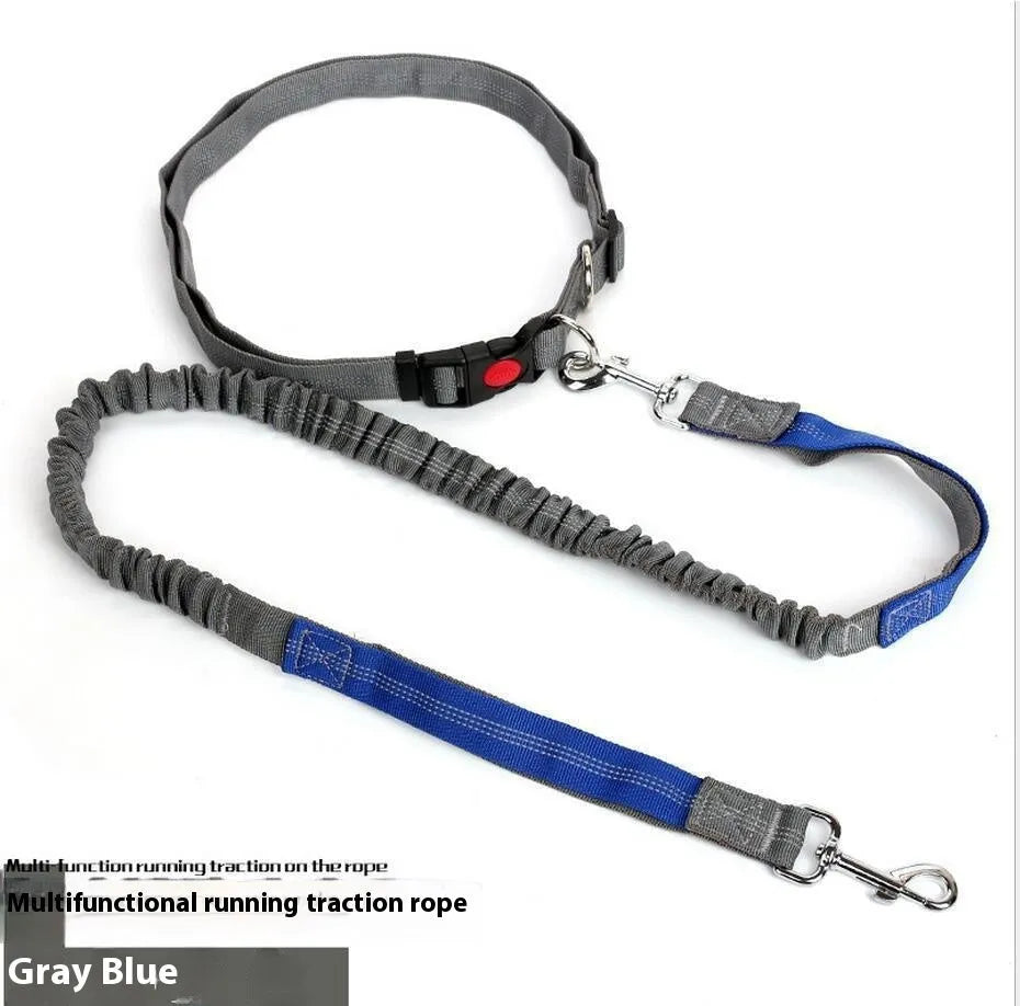 Reflective elastic dog leash with 2.5cm nylon sling in blue and red two-tone colour combination