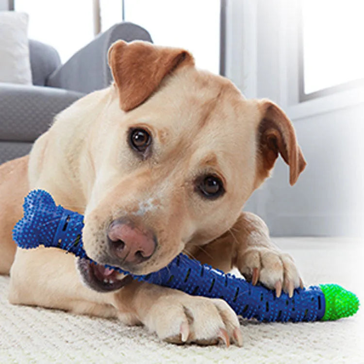 Blue green silicone dog toothbrush chew toy with bristles and nodules for teeth cleaning.