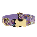 Flat nylon dog collar with a grid print and metal bone-shaped buckle on a white background.
