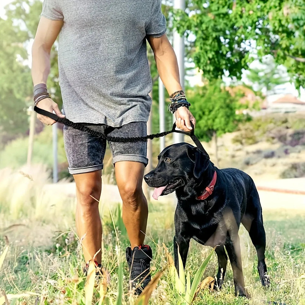 Retractable dog leash for large breeds with anti-burst technology shown in green colour.