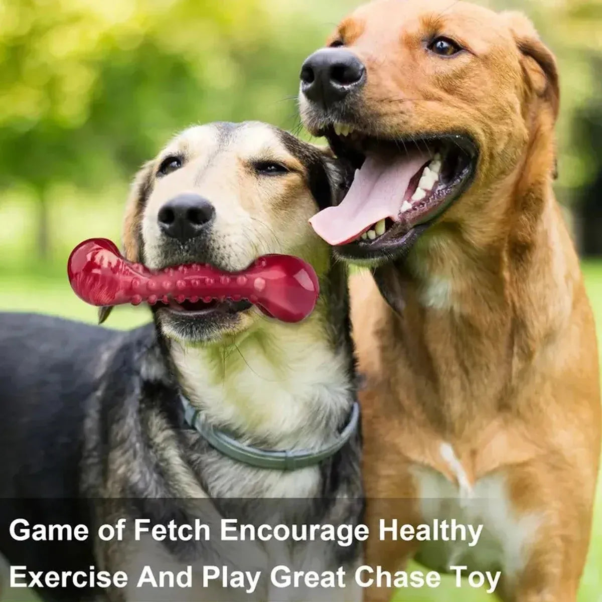 Red natural rubber chew toy for aggressive chewing dogs on wooden floor