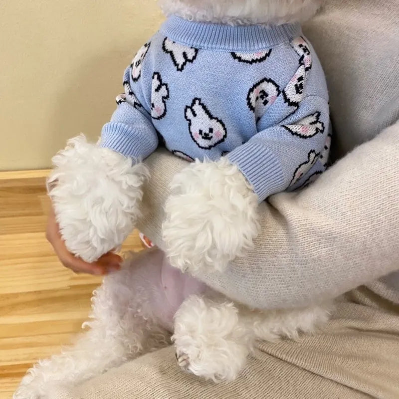 Small dog wearing a blue knitted winter sweater with a charming pattern, soft polyacrylic material
