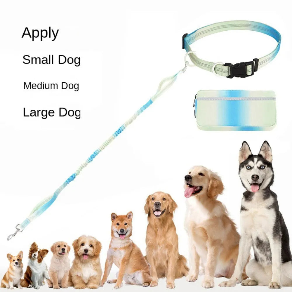Blue hands-free dog leash with waist belt and adjustable 120-183cm reflective traction rope