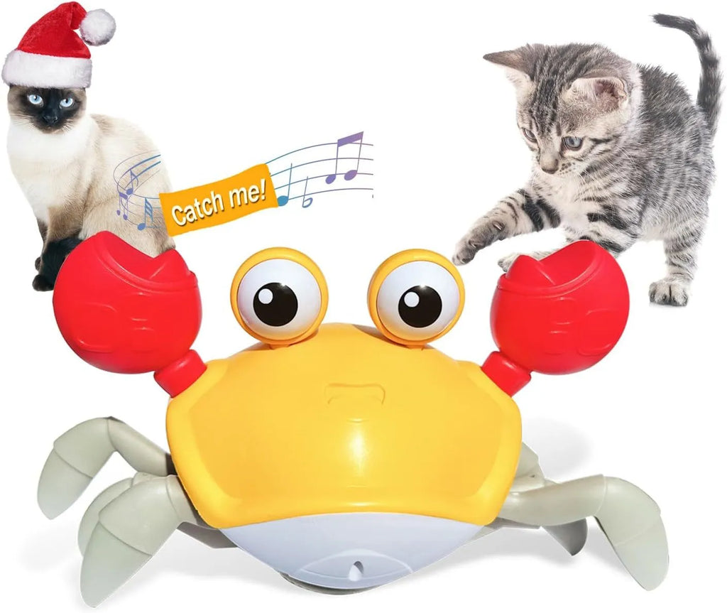 Blue electronic crab dog toy crawling on floor with lights illuminated.