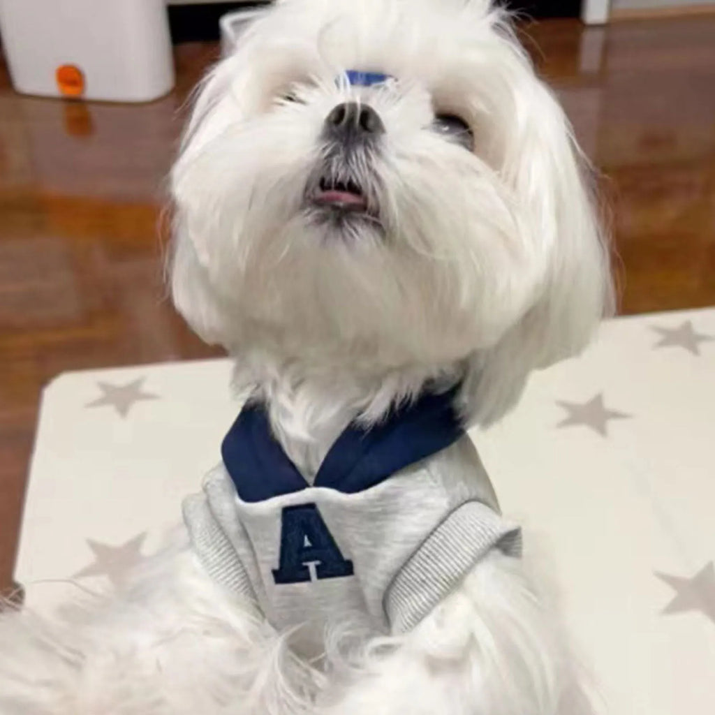 Blue and grey white polyester pet hoodie with reflective lettering on a cat or dog