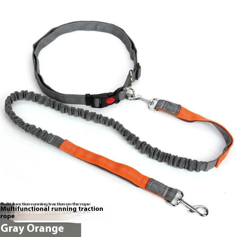 Reflective elastic dog leash with 2.5cm nylon sling in blue and red two-tone colour combination