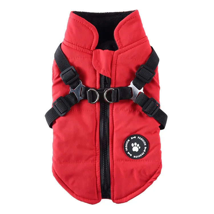 Adjustable chest strap dog winter jacket in blue, showing the strap closure and cotton-padded design.