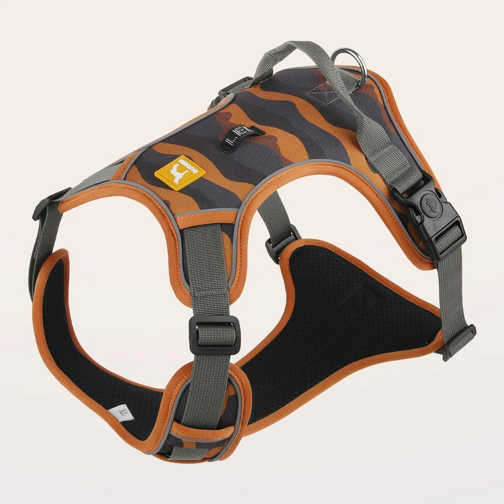 Reflective dog harness and lead in oxford cloth, showing chest and back attachment points and hand-holding rope.