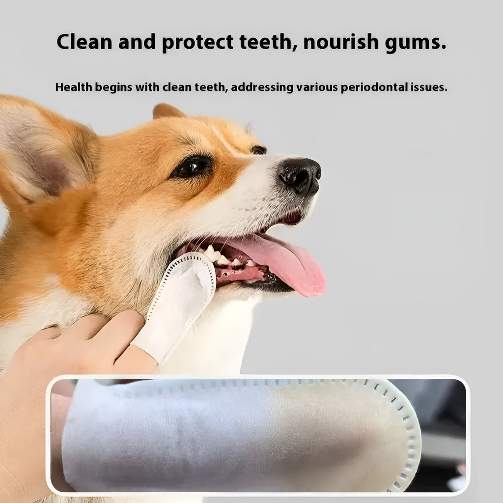Open pack showing multiple beige non-woven fabric pet dental cleaning finger stalls or cots for cats and dogs.