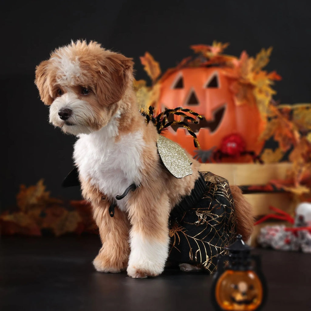 A dog wearing a smart suit-style Halloween costume in a classic suit colour.