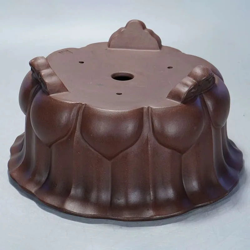Square purple sand succulent bonsai pot with classical petal basin design, dimensions 37cm by 37cm by 20cm.