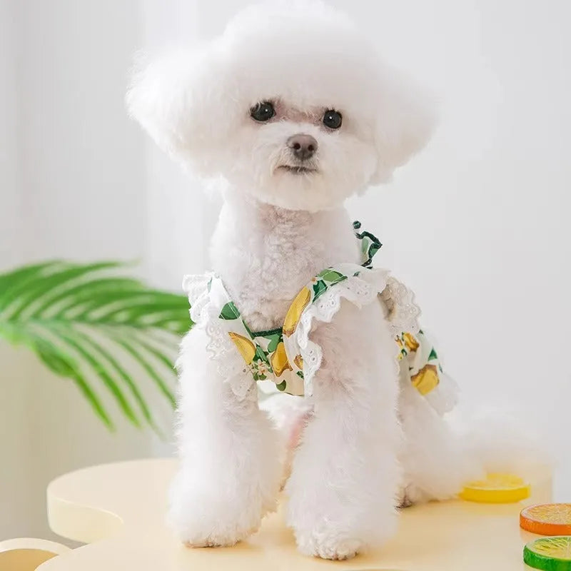 Rock yellow lemon princess style strap skirt dog dress on small dog