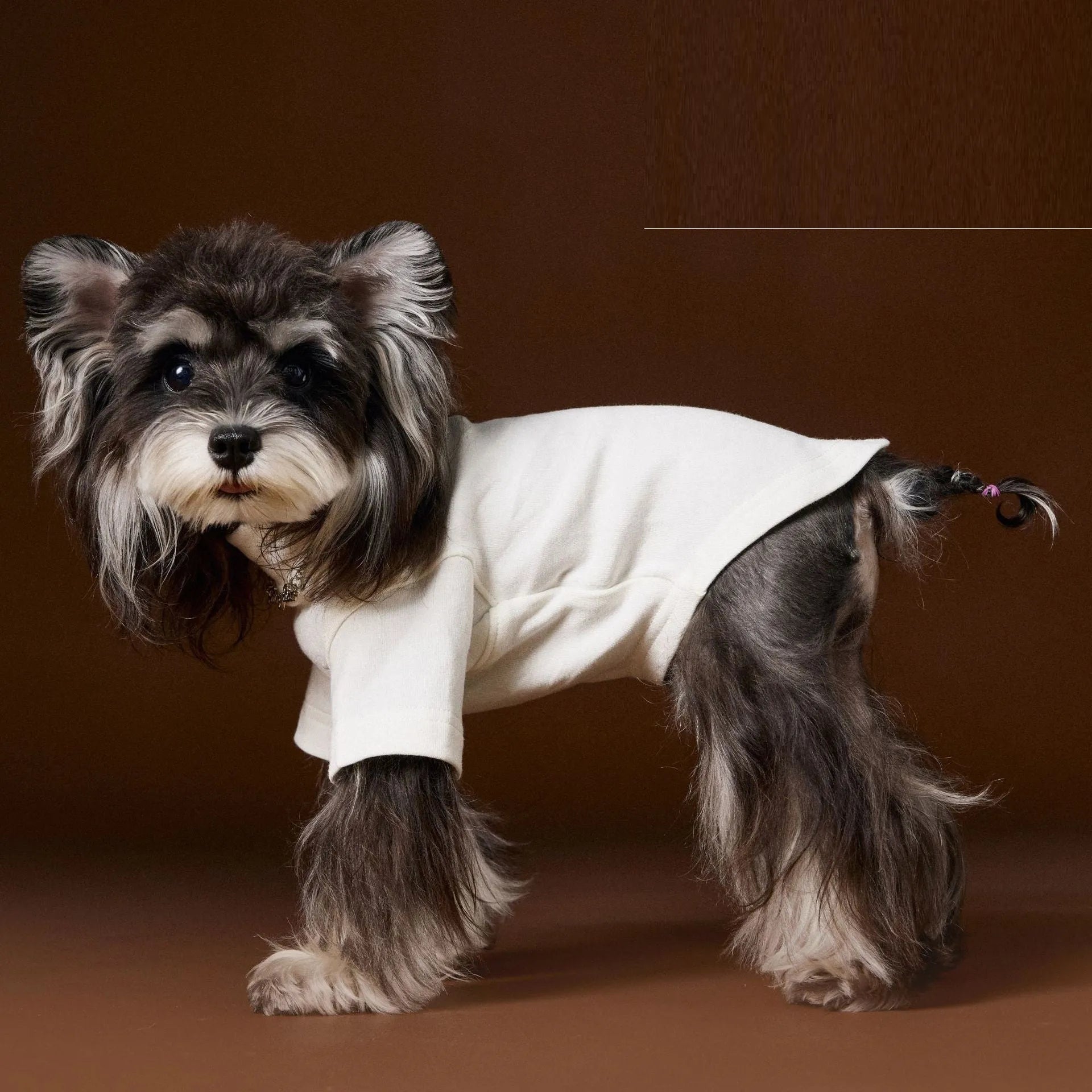 Teddy Schnauzer Bear style solid colour bottom shirt two leg necklace inner coat for dogs in white black and gray