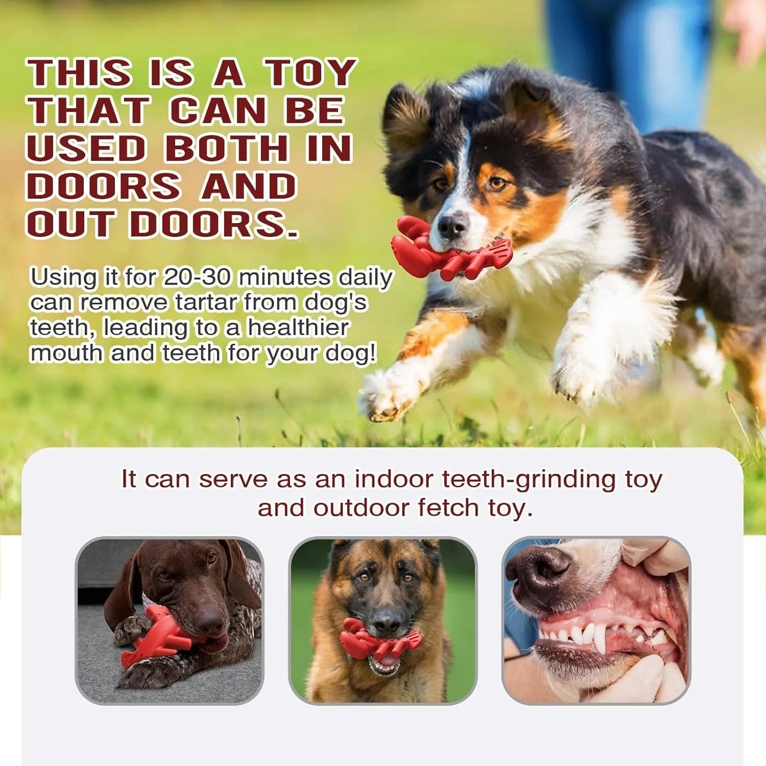 Red nylon chew toy for large dogs measuring 170mm long with dimensions for aggressive chewers