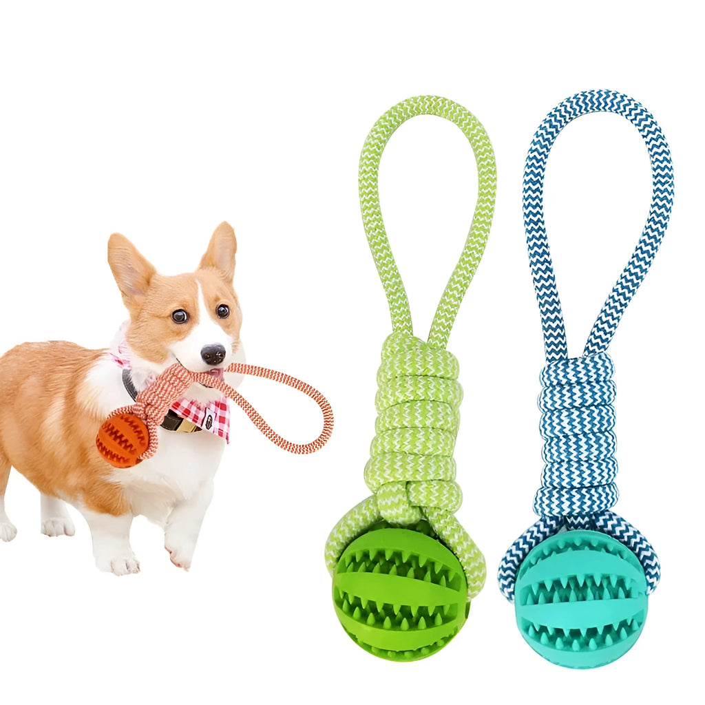 Blue interactive TPR and cotton rope dog toy for small dogs, 36x6x6 cm