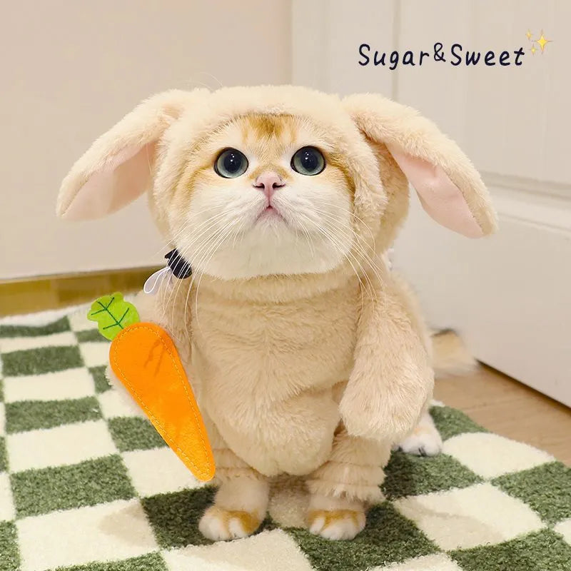 Cat and dog costume set with radish rabbit or bamboo panda clothes and carrot prop for spring and autumn